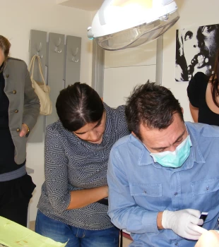 Curs Ocluzie Dentara Prof. Dr. Petre Alexandru 14-15 Octombrie 2011
